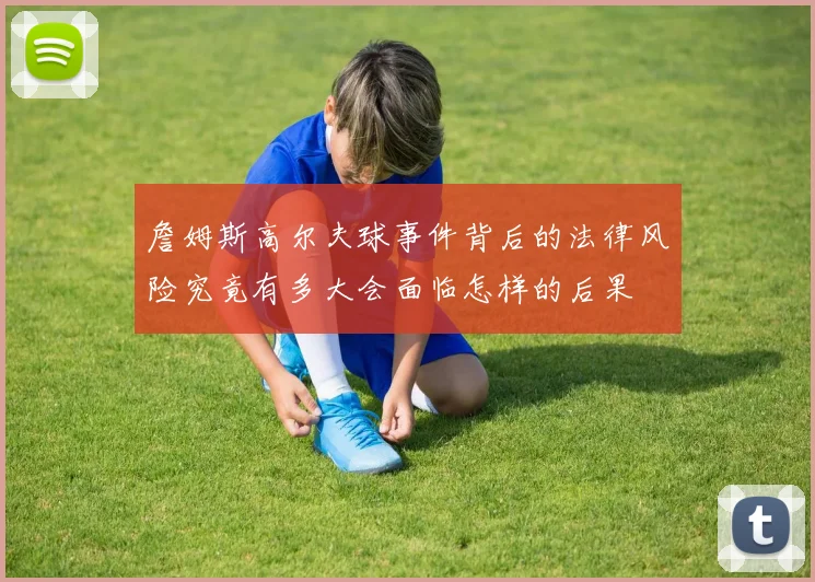 詹姆斯高尔夫球事件背后的法律风险究竟有多大会面临怎样的后果